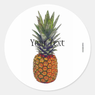 HAMbWG Pineapple Stickers - with Text Box
