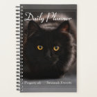 HAMbWG - Planificateur quotidien photo - Chat noir