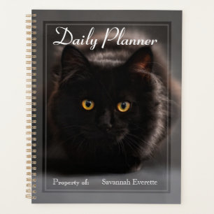HAMbWG - Planificateur quotidien photo - Chat noir