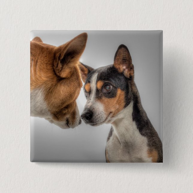 HAMbWG - Square Button - 2 Dog Face-off (Front)