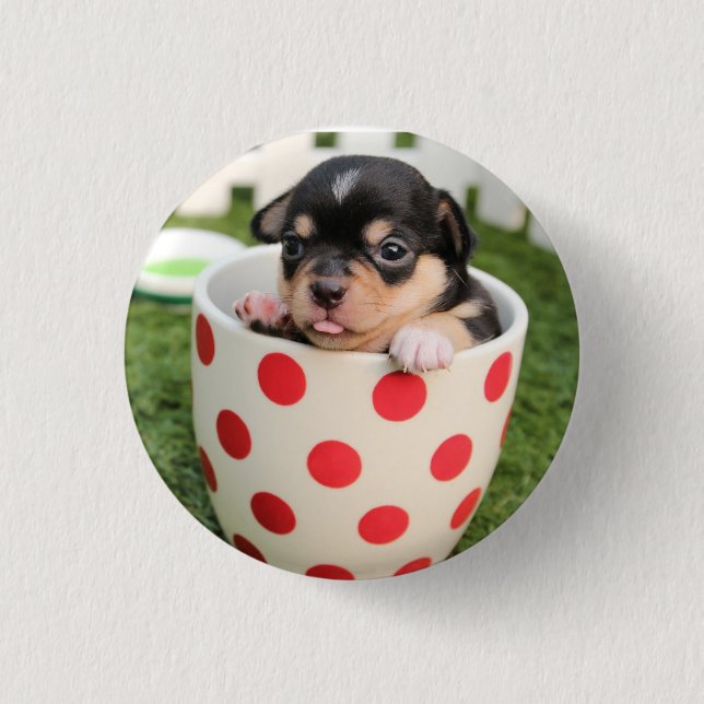 HAMbWG - Square Button - Teacup Puppy (Front)