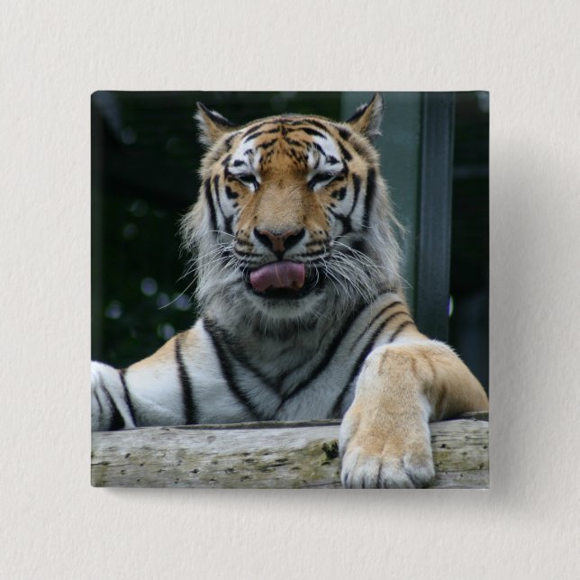 HAMbWG - Square Button - Tiger (Front)