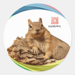 HAMbWG -Sticker - Squirrel w Logo Colours Classic Round Sticker