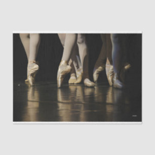 HAMbyWG - Ballerina legs - Tissue Paper
