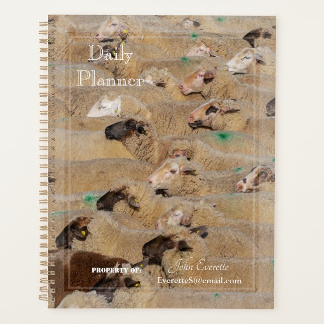 HAMbyWG - Daily Planner - Crowded Sheep (Front)