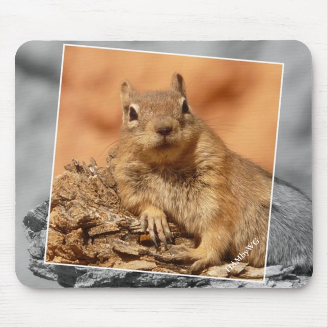 HAMbyWG - Famous Squirrel - Mouse Pad (Front)