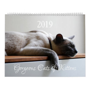 HAMbyWG - Gorgeous Cats Calendar