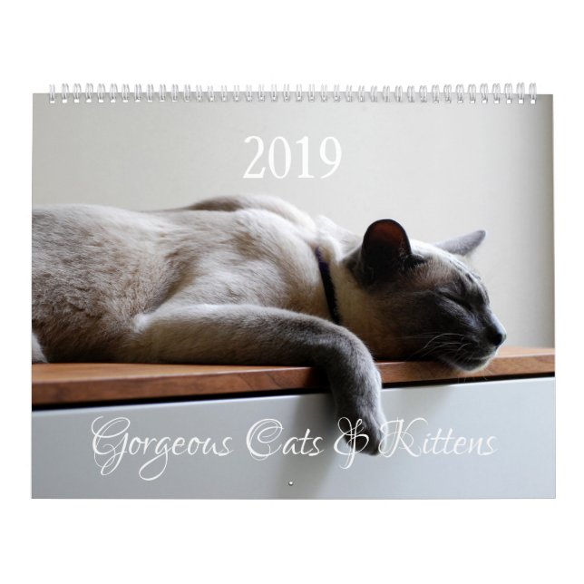 HAMbyWG - Gorgeous Cats Calendar (Cover)