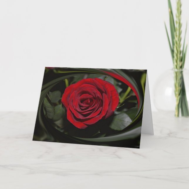 HAMbyWG - Greeting Card - Beautiful Red Rose (Front)