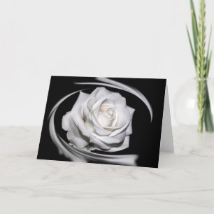 HAMbyWG - Greeting Card - Beautiful White Rose
