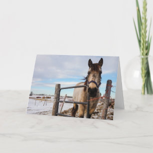 HAMbyWG - Greeting Card - Fenced in Horse