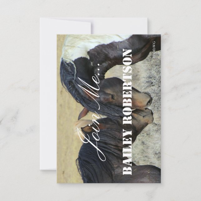 HAMbyWG - Invitation - Two Horse (Front)
