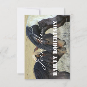 HAMbyWG - Invitation - Two Horse