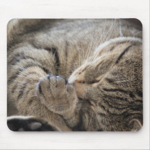 HAMbyWG - Mouse Pad - Cuddling Kitten