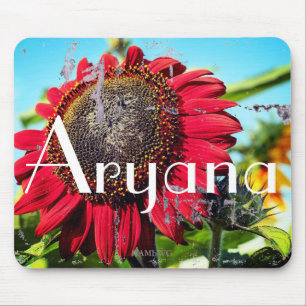 HAMbyWG - Mouse Pad -   Red Sunflower