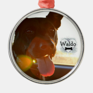 HAMbyWG - Ornament - Memento