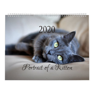 HAMbyWG- Portrait of a Kitten Calendar