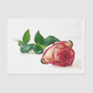 HAMbyWG - Single Rose Tissue Paper