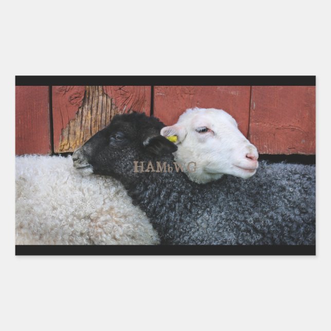 HAMbyWG- Stickers - Black Sheep White Sheep (Front)