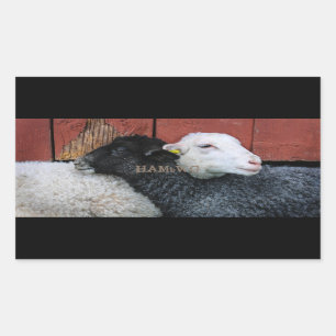 HAMbyWG- Stickers - Black Sheep White Sheep