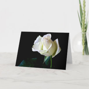HAMbyWhiteGlove - Carte de voeux - Rose unique