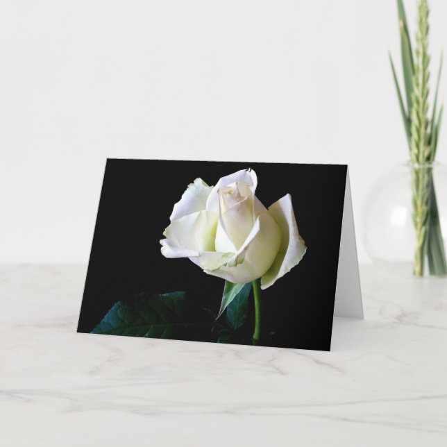 HAMbyWhiteGlove - Carte de voeux - Rose unique (Devant)