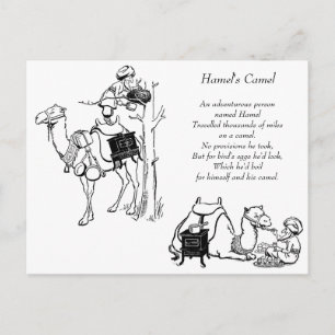 Hamel's Camel Limerick Postcard