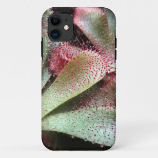 Hamilton's Sundew Plant Photo iPhone 11 Case