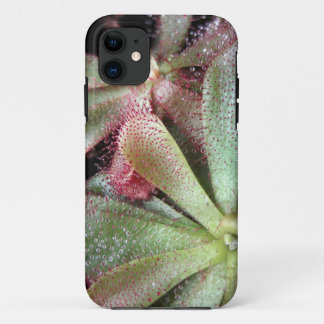 Hamilton's Sundew Plant Photo iPhone 11 Case