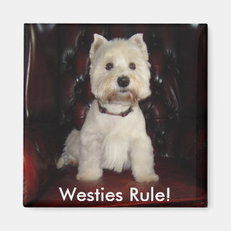 Hamish McTavish Westies Rule Fridge Magnet