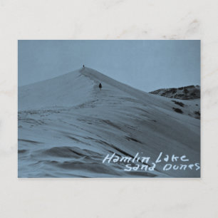 Hamlin Lake Sand Dunes, Michigan Postcard