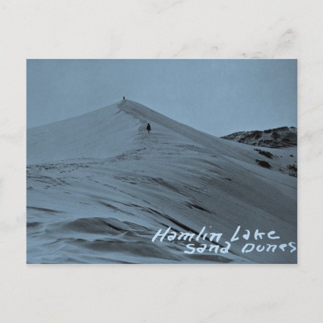 Hamlin Lake Sand Dunes, Michigan Postcard (Front)