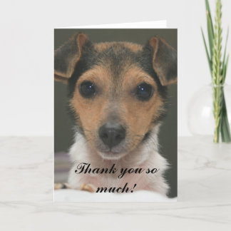 Hamlin - Thank you so much! Card