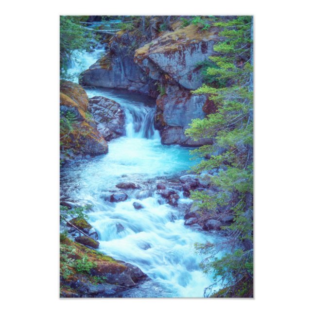 Hamma Hamma Creek Photo Print (Front)