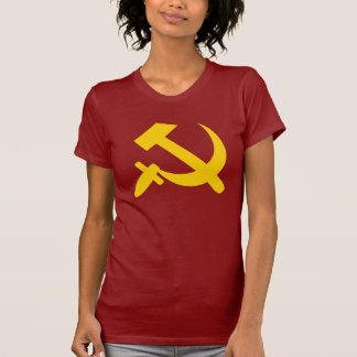 HAMMER AND SICKLE 1 T-Shirt