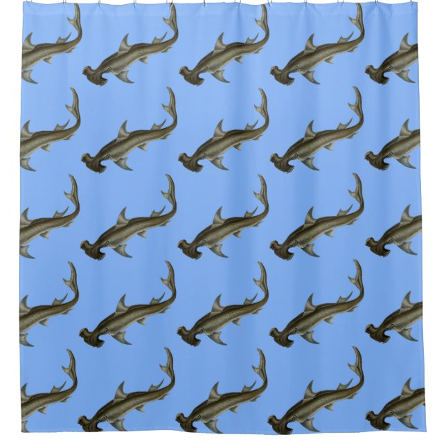 Hammerhead Shark Blue (Front)
