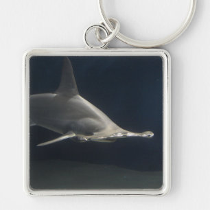 Hammerhead Shark Keychain