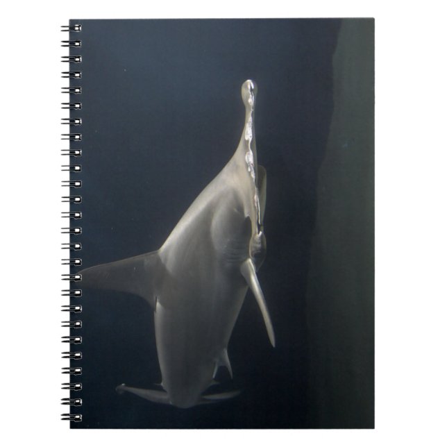 Hammerhead Shark Notebook (Front)