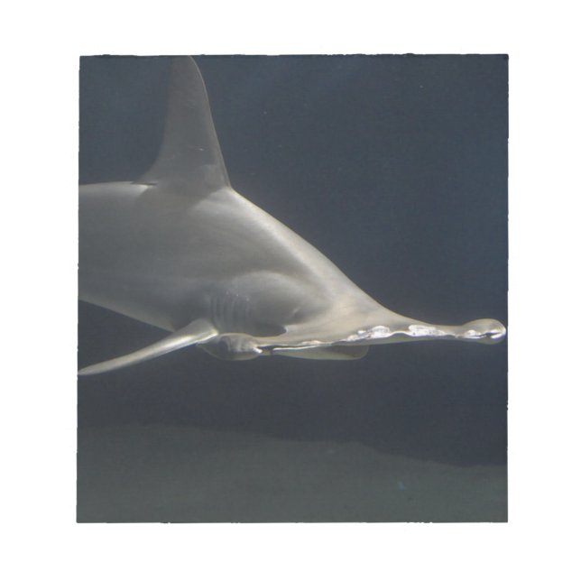 Hammerhead Shark Notepad (Front)