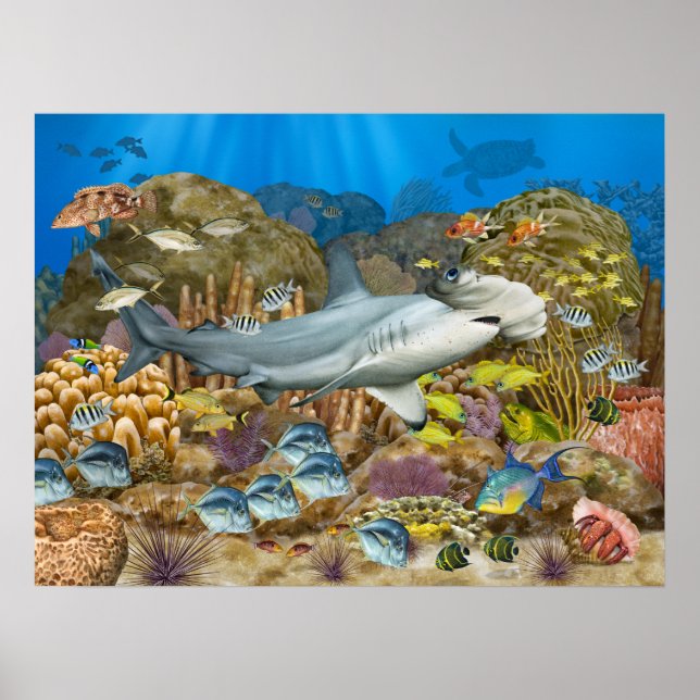 Hammerhead Shark Over Coral Reef Poster (Front)