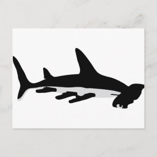 hammerhead shark postcard