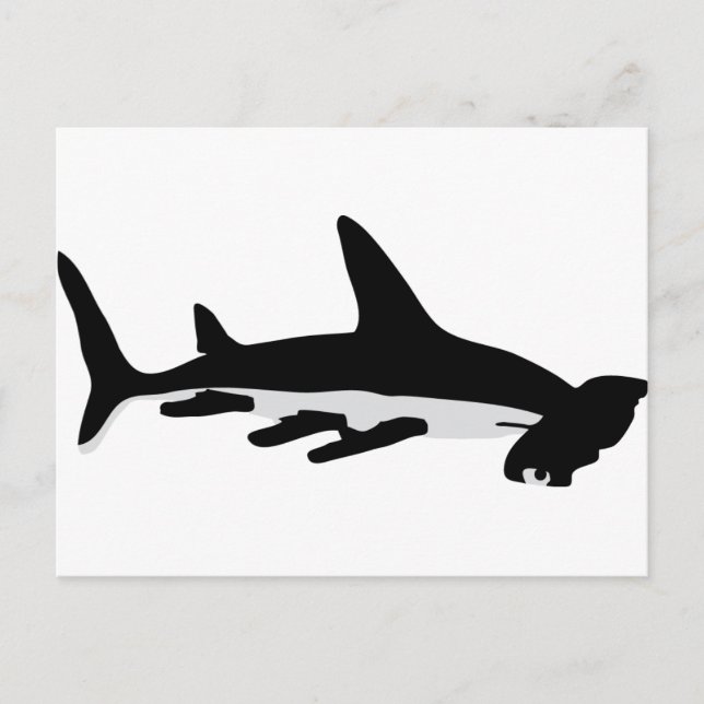 hammerhead shark postcard (Front)
