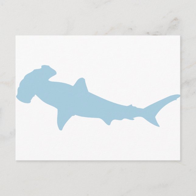Hammerhead Shark Postcard (Front)