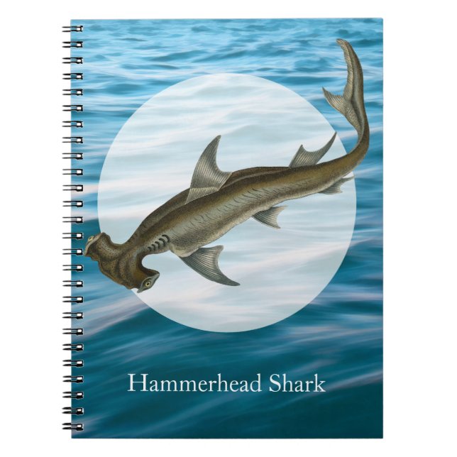Hammerhead Shark Sea Life Notebook (Front)