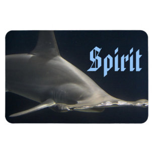 Hammerhead Shark Spirit Magnet