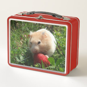 Hammie Avec Fraises Lunchbox Métal