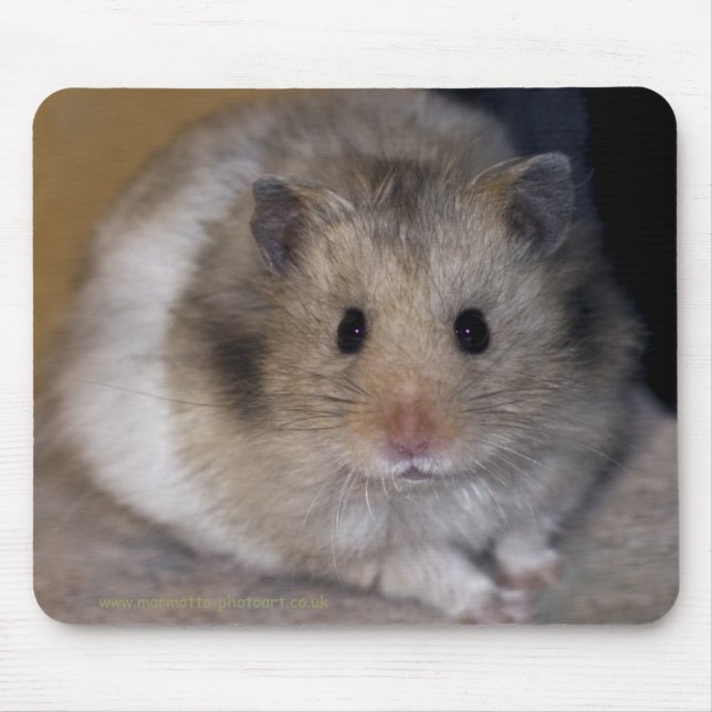 Hammie Mousemat Mouse Pad (Front)