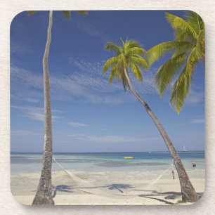 Hammock and palm trees, Plantation Island Resort Coaster