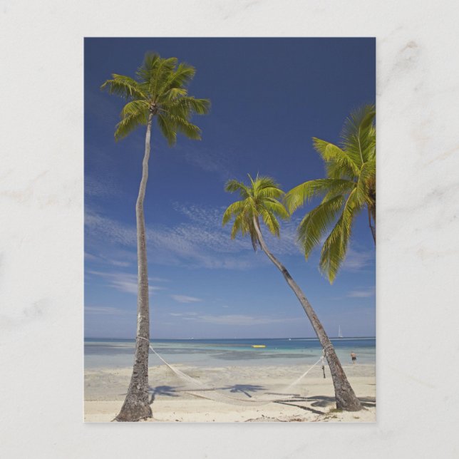 Hammock and palm trees, Plantation Island Resort Postcard (Front)