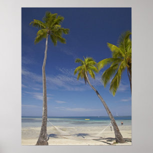 Hammock and palm trees, Plantation Island Resort Poster